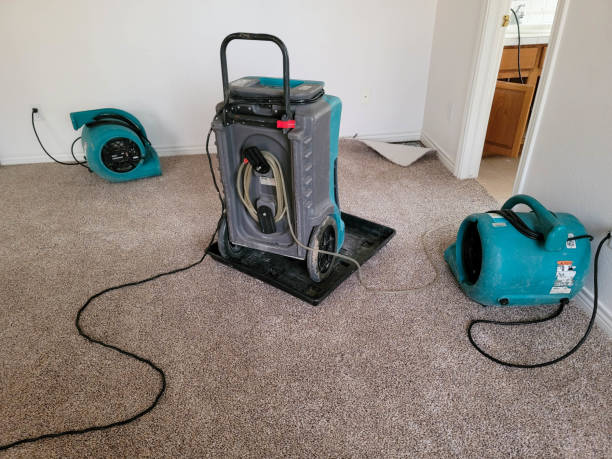 Best Emergency water damage restoration  in , AR