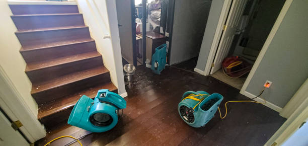 Best Flood restoration services  in , AR