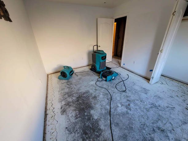 Best Commercial water damage restoration  in , AR