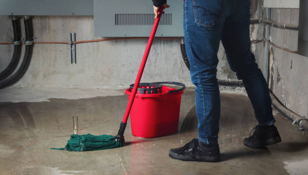 Best Water damage contractors near me  in , AR