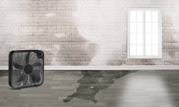  , AR Water damage restoration Pros