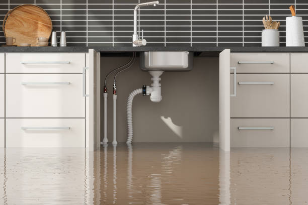  , AR Water damage restoration Pros