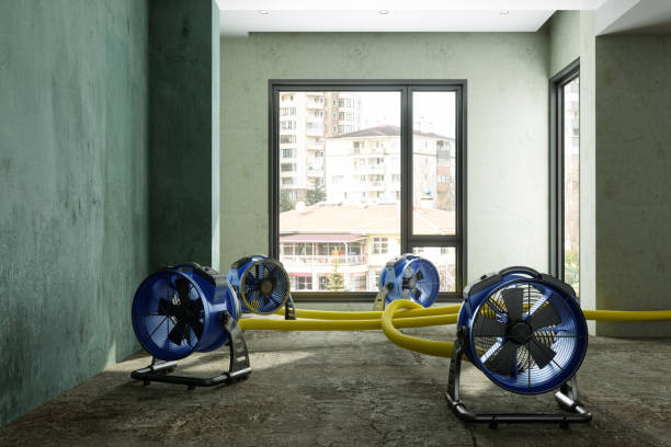 Best Water damage restoration near me  in , AR