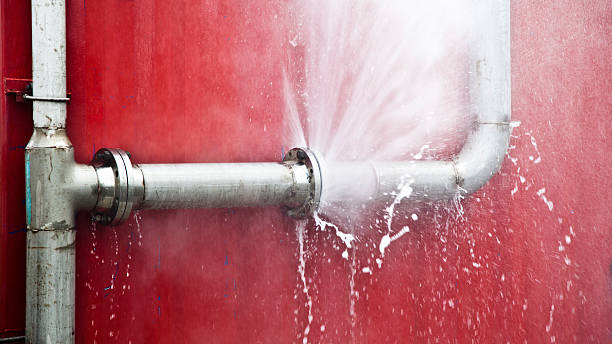 Best Sewage cleanup and water damage restoration  in , AR