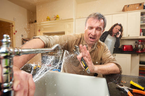 Best Flooded house restoration  in , AR
